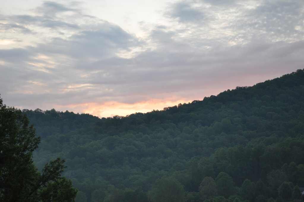 Photo of Others in Waynesville