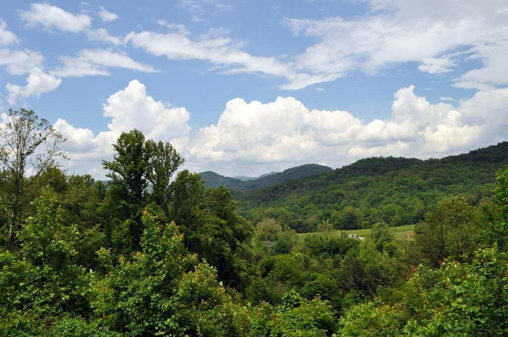 Photo of Others in Waynesville