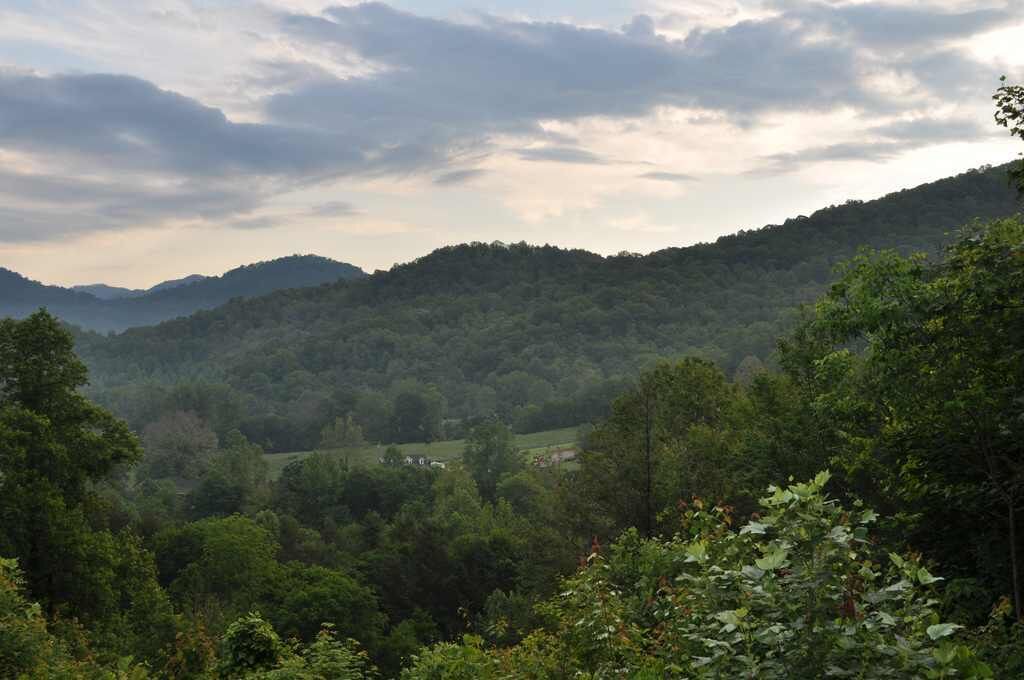Photo of Others in Waynesville