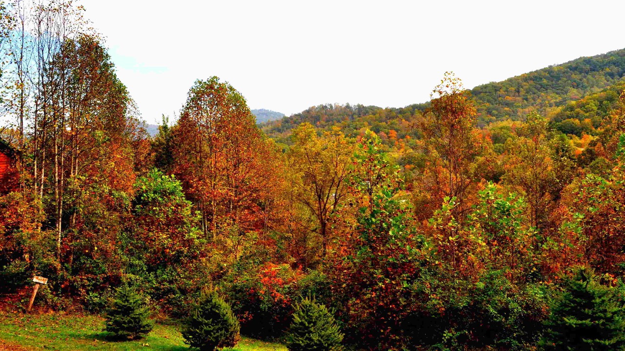 Photo of Outdoor in Waynesville