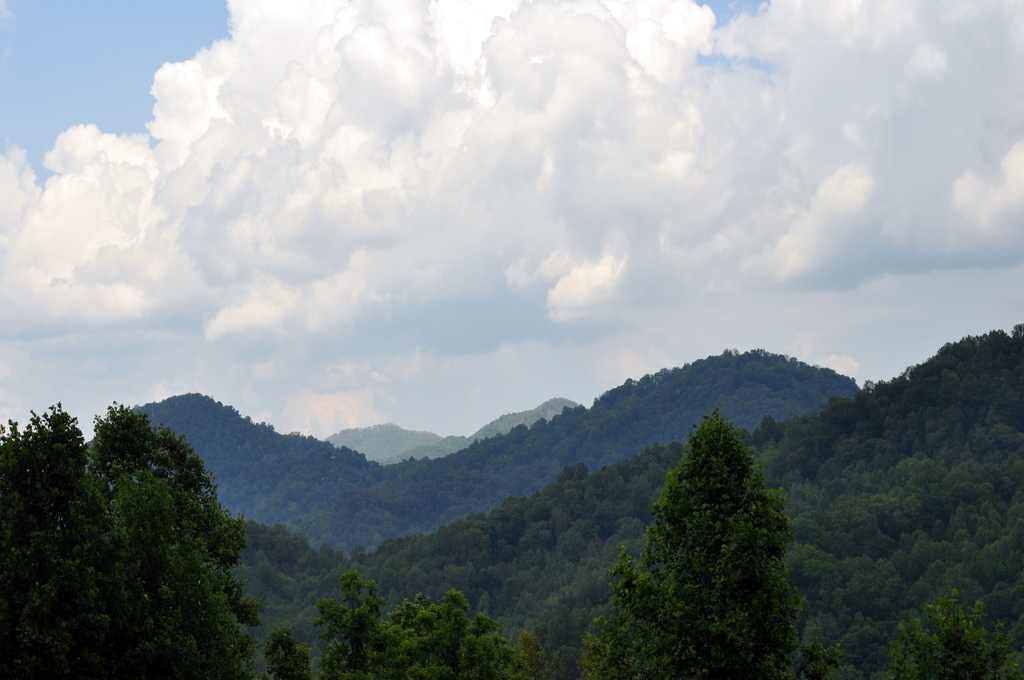 Photo of Others in Waynesville