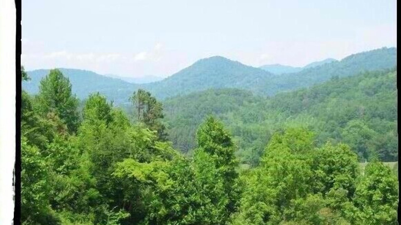 Photo of Others in Waynesville