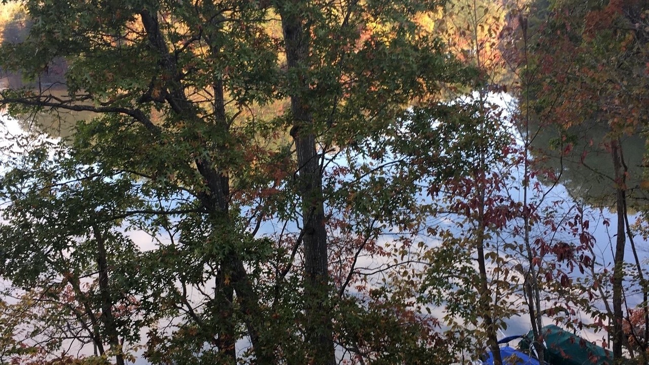 Photo of Others in Mill Spring
