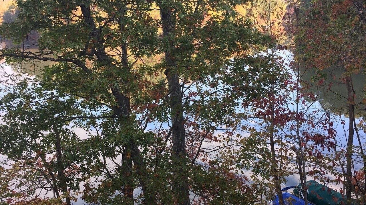 Photo of Others in Mill Spring