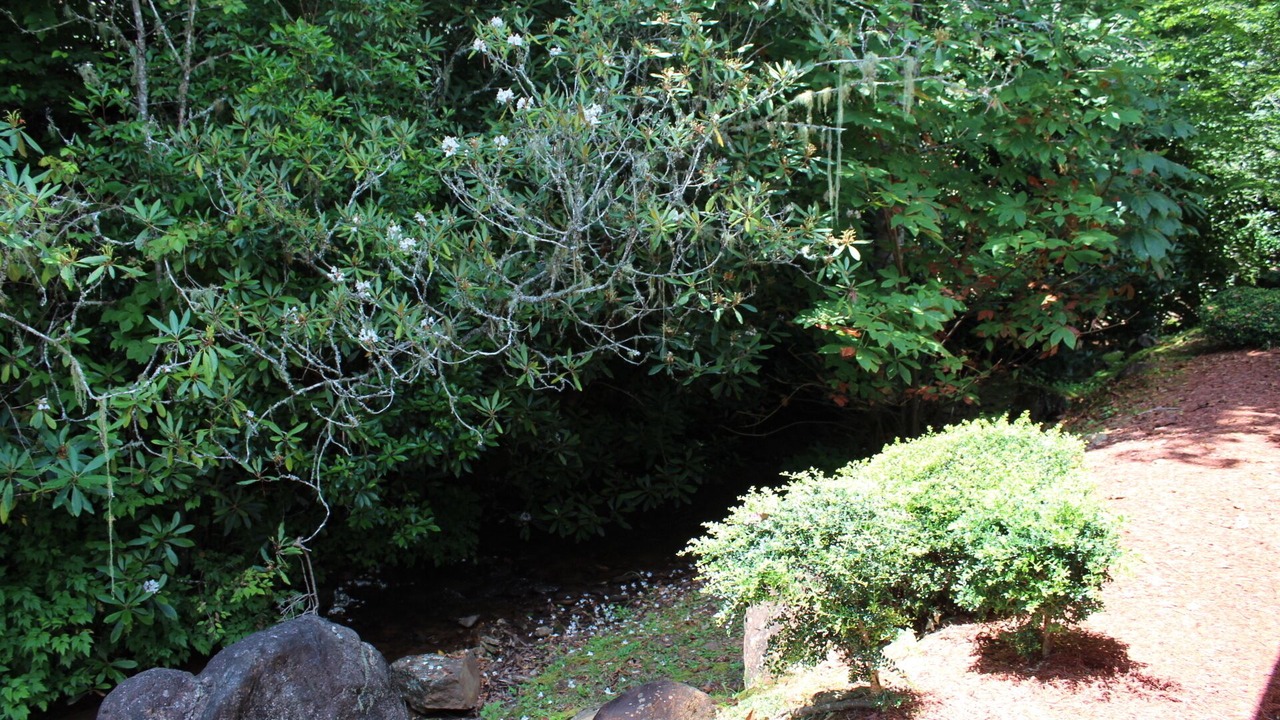 Photo of Outdoor in Franklin