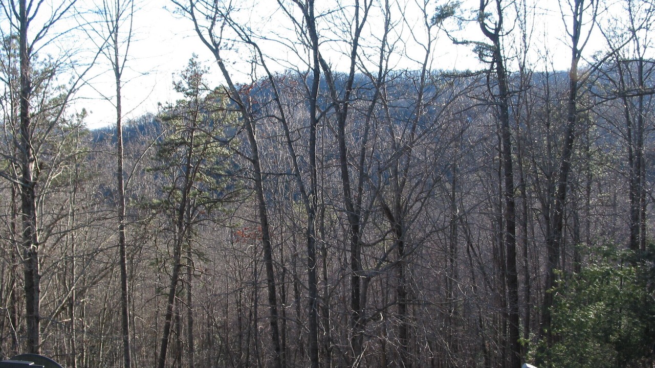 Photo of Others in Skyland