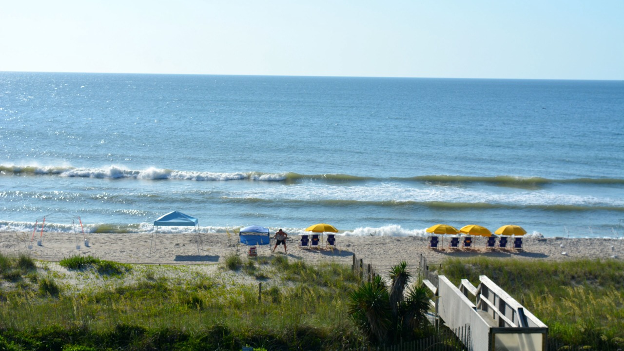 Photo of Others in Wilmington Beach