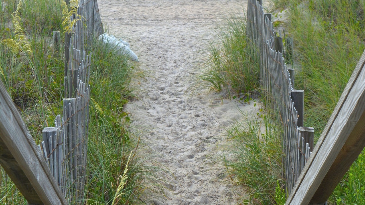 Photo of Others in Wilmington Beach