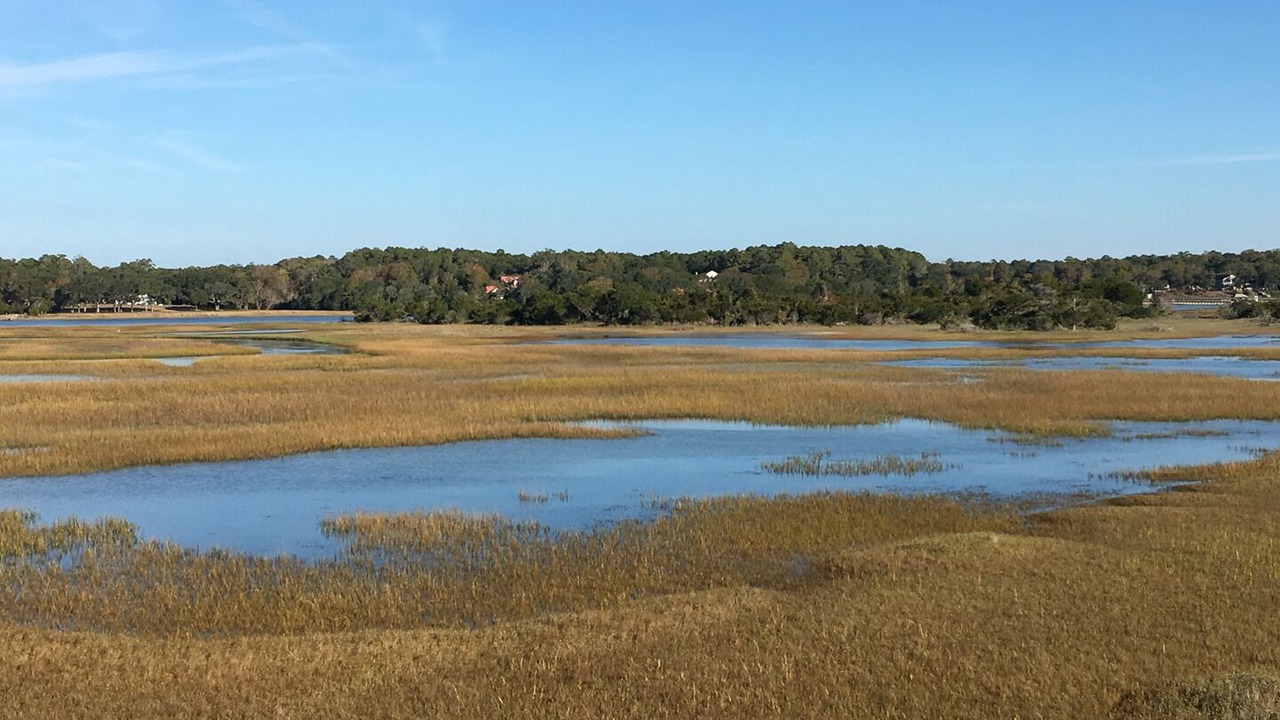 Photo of Others in Holden Beach
