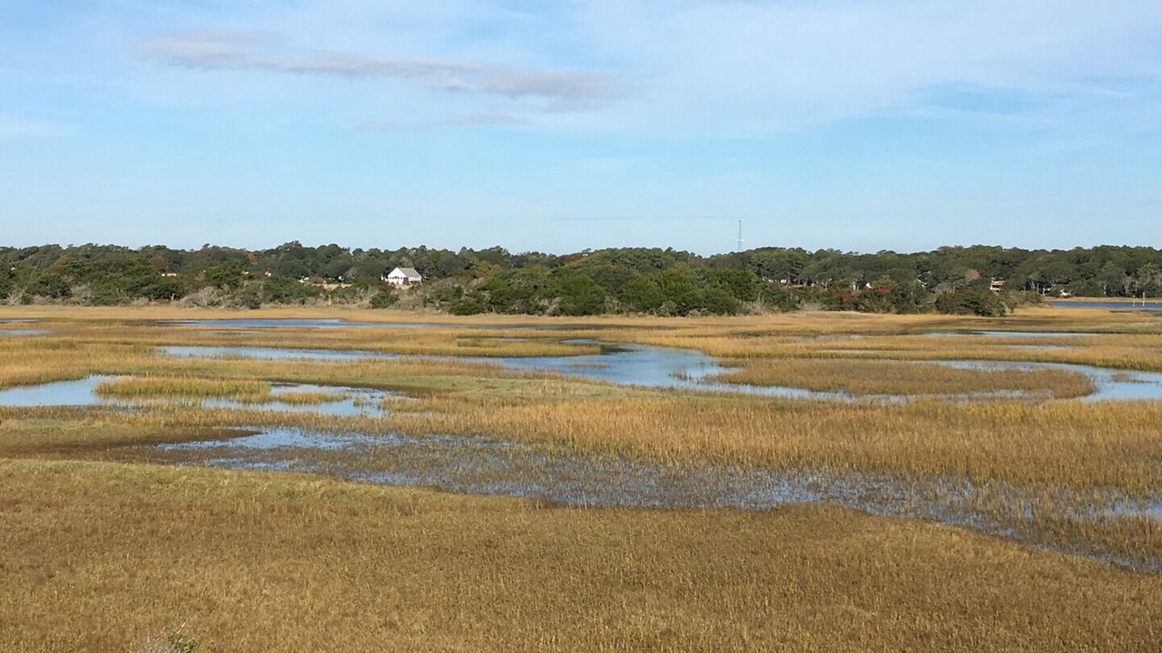 Photo of Others in Holden Beach