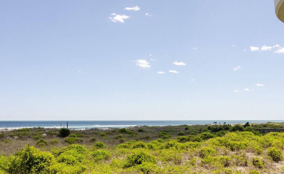 Photo of Others in Shell Island