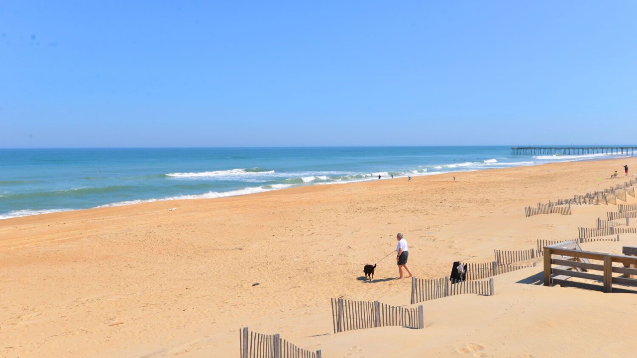 Photo of Others in South Nags Head
