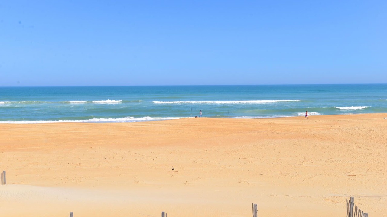 Photo of Others in South Nags Head