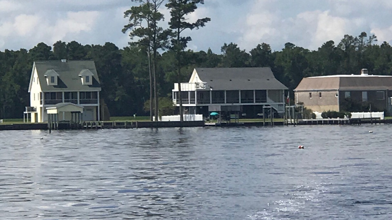 Photo of Others in Belhaven