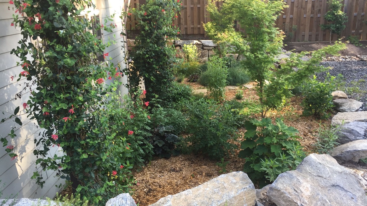 Photo of Outdoor in Falconhurst