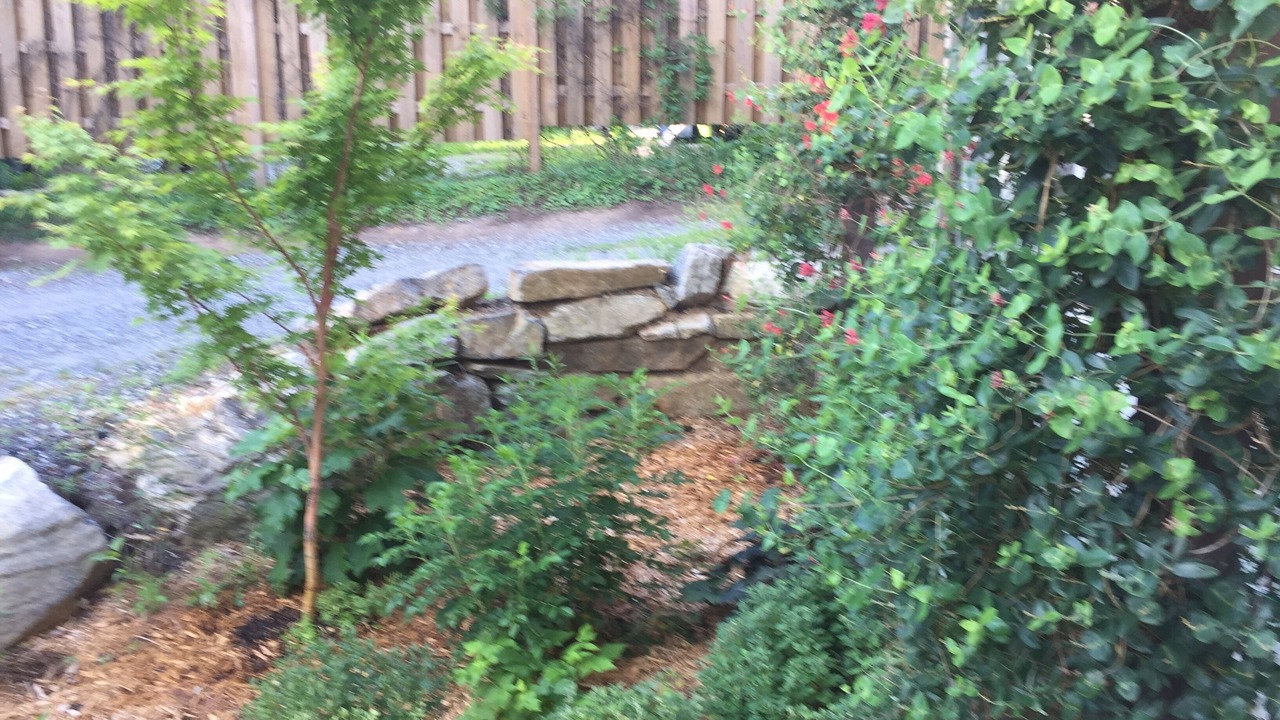 Photo of Outdoor in Falconhurst