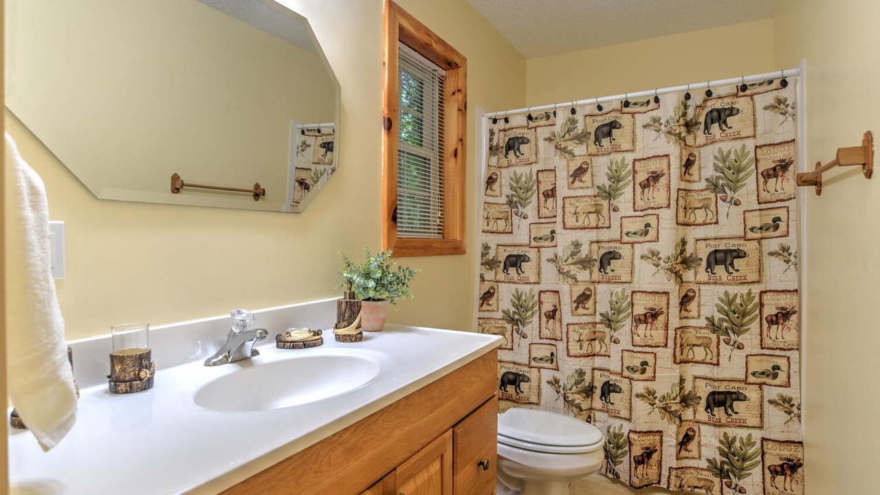 Photo of Bathroom in Sheepback Mountain Estates