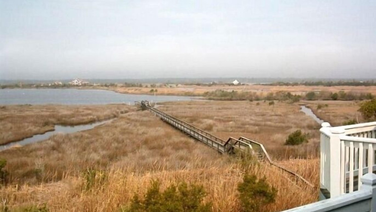 Photo of Others in North Topsail Beach