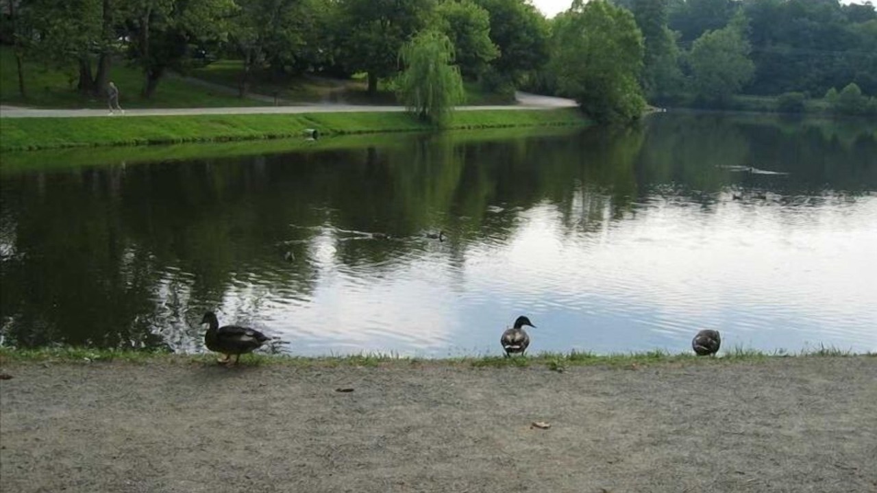Photo of Outdoor in Weaverville