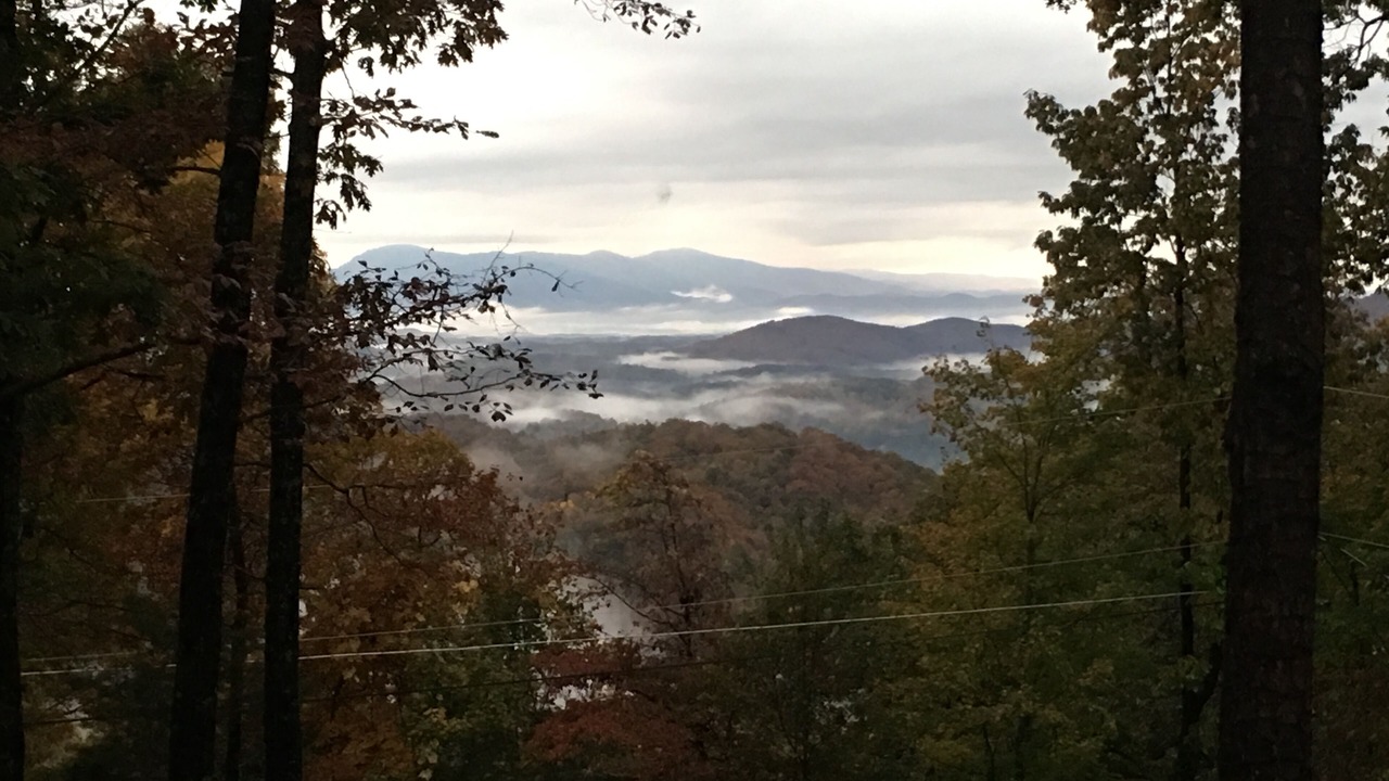 Photo of Outdoor in Lake Lure