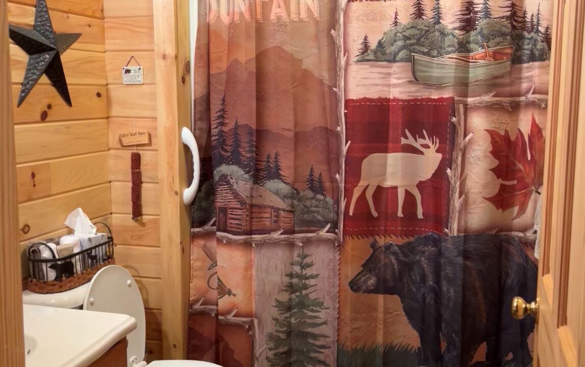 Photo of Bathroom in Sylva