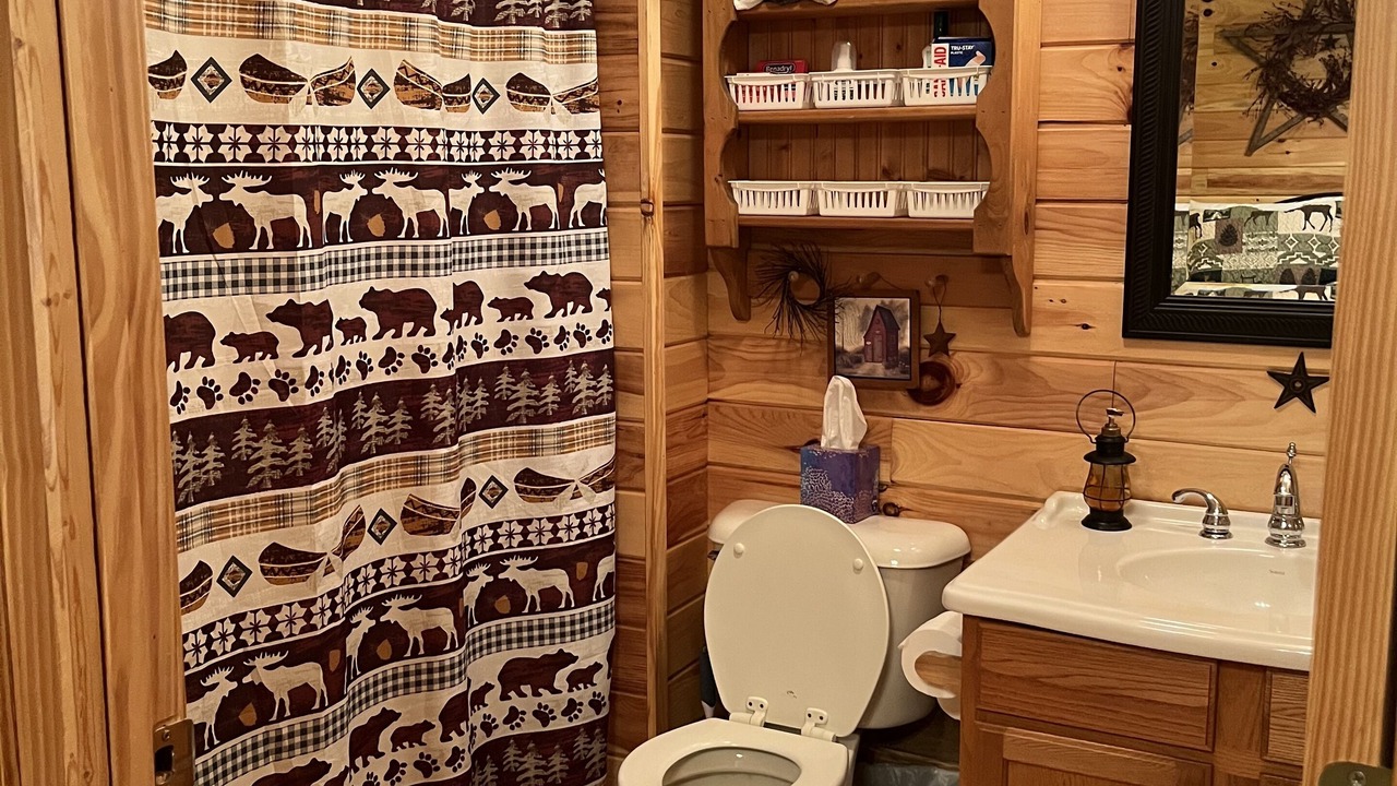 Photo of Bathroom in Sylva