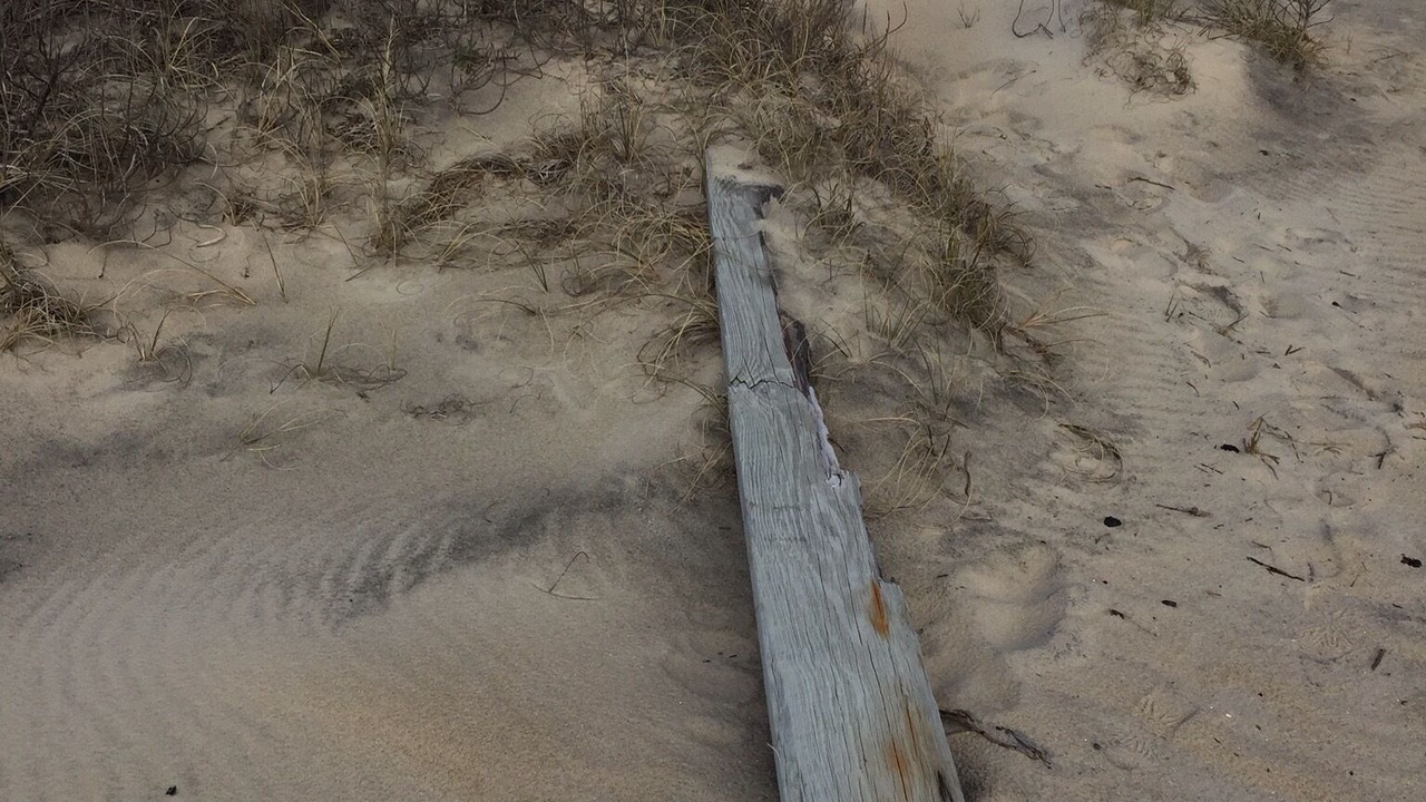 Photo of Others in Wimble Shores