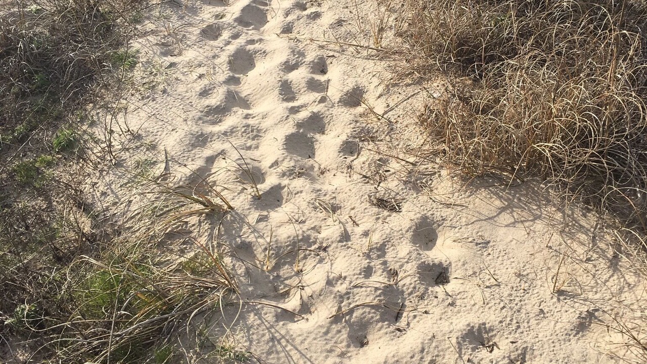 Photo of Others in Wimble Shores