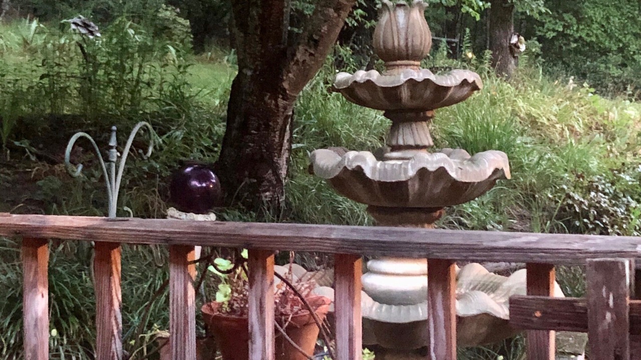 Photo of Outdoor in Rutherfordton