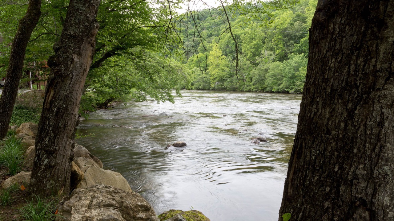 Photo of Others in Sylva