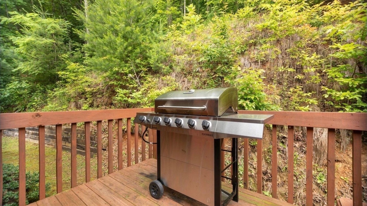 Photo of Outdoor in Sylva