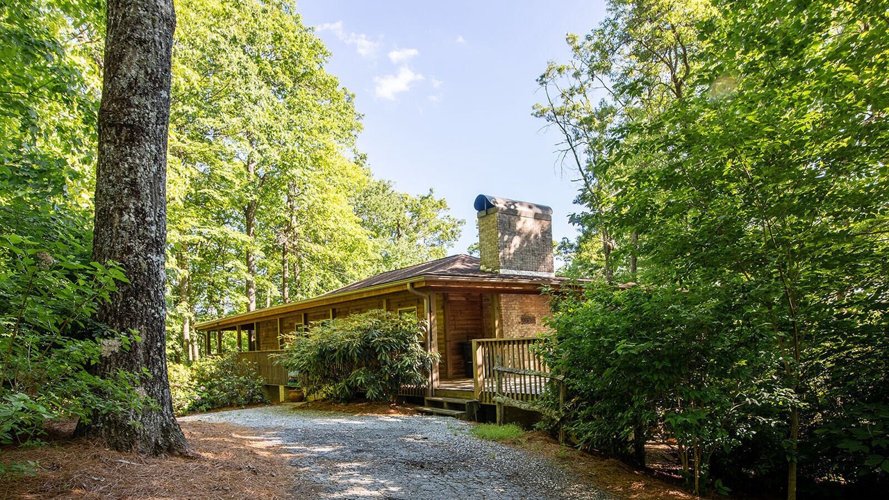Photo of Outdoor in Pisgah Forest