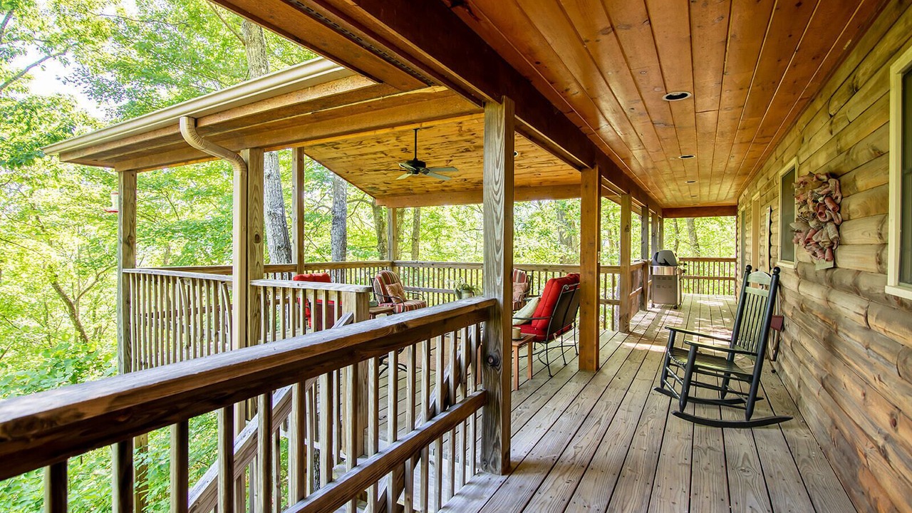 Photo of Outdoor in Pisgah Forest