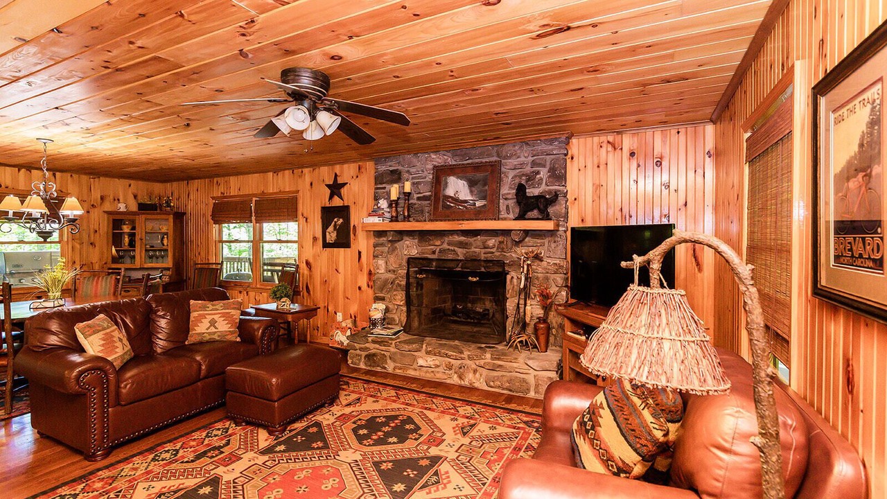 Photo of Livingroom in Pisgah Forest