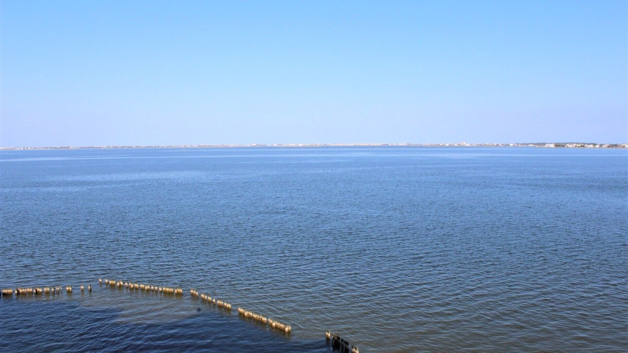 Photo of Others in Manteo