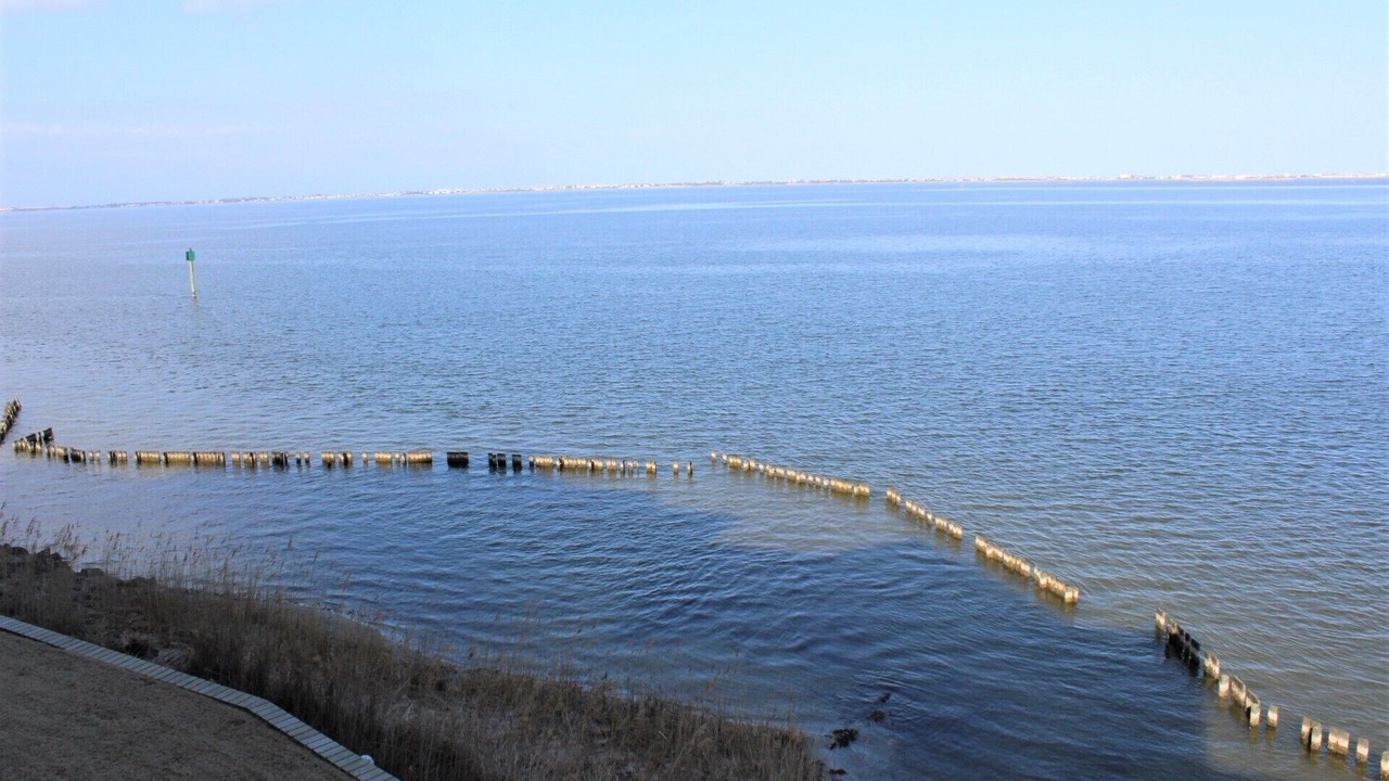 Photo of Others in Manteo