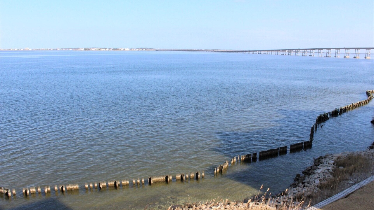 Photo of Others in Manteo