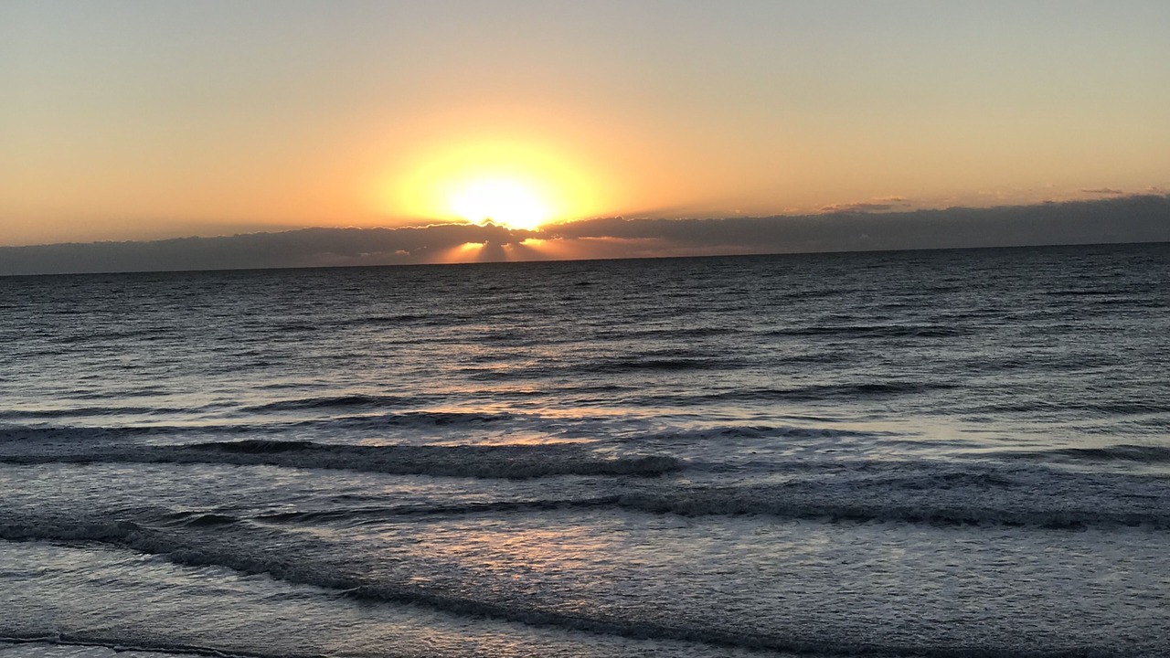 Photo of Others in Surf City