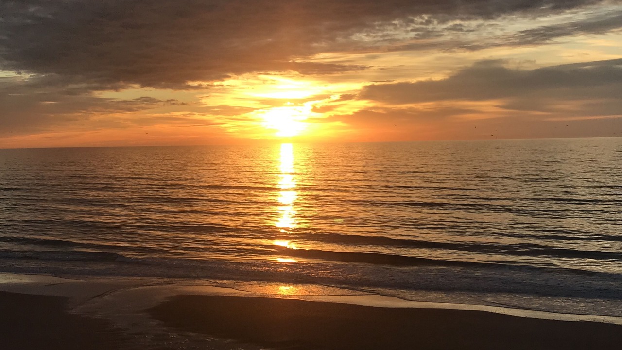 Photo of Others in Surf City