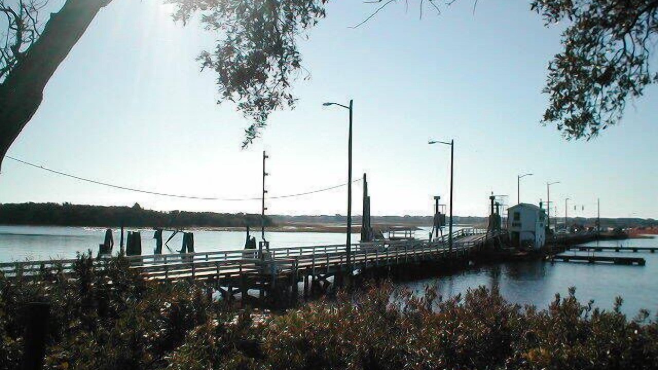 Photo of Others in Sea Trail