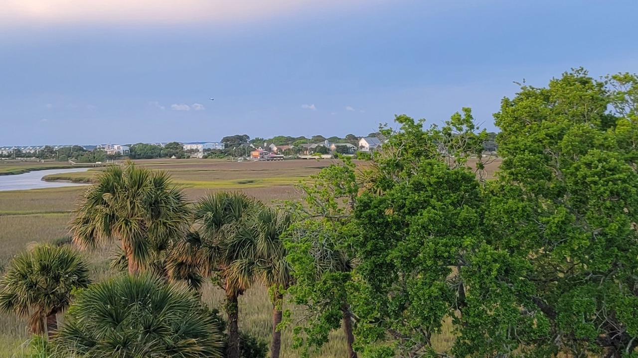 Photo of Others in Folly Beach