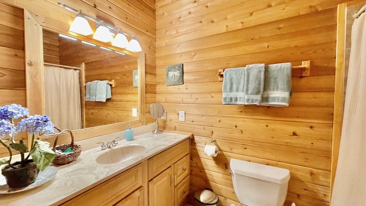 Photo of Bathroom in Hendersonville