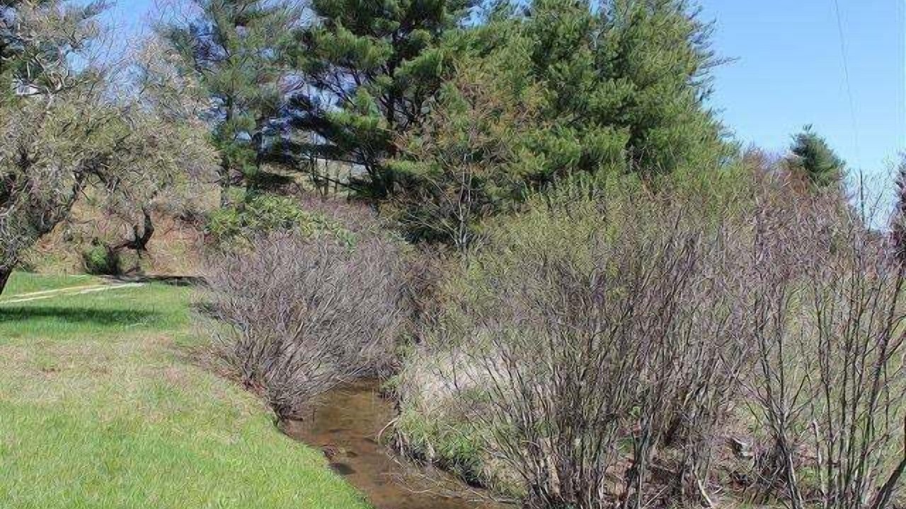 Photo of Others in Laurel Springs