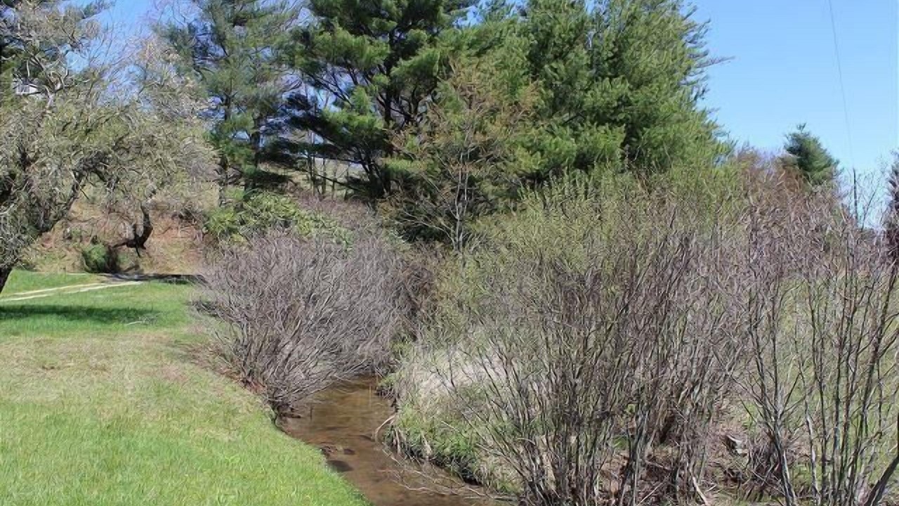 Photo of Others in Laurel Springs