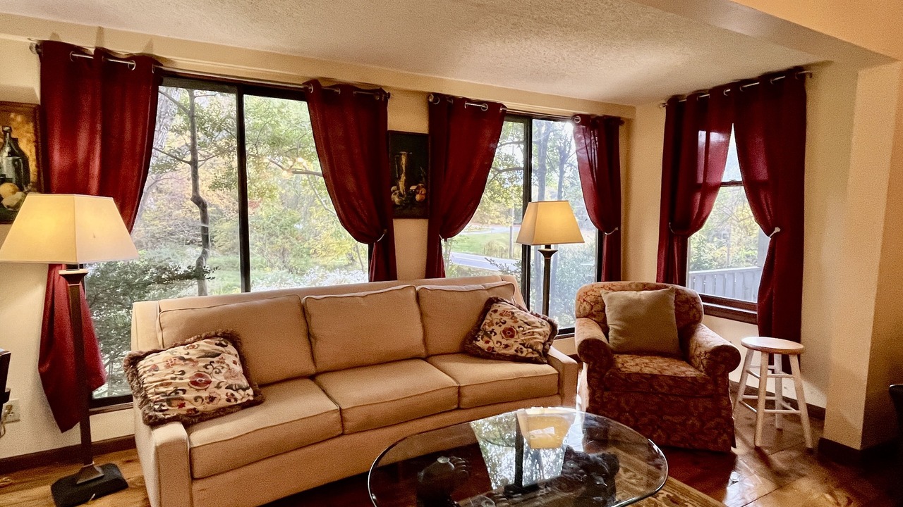 Photo of Livingroom in Swannanoa