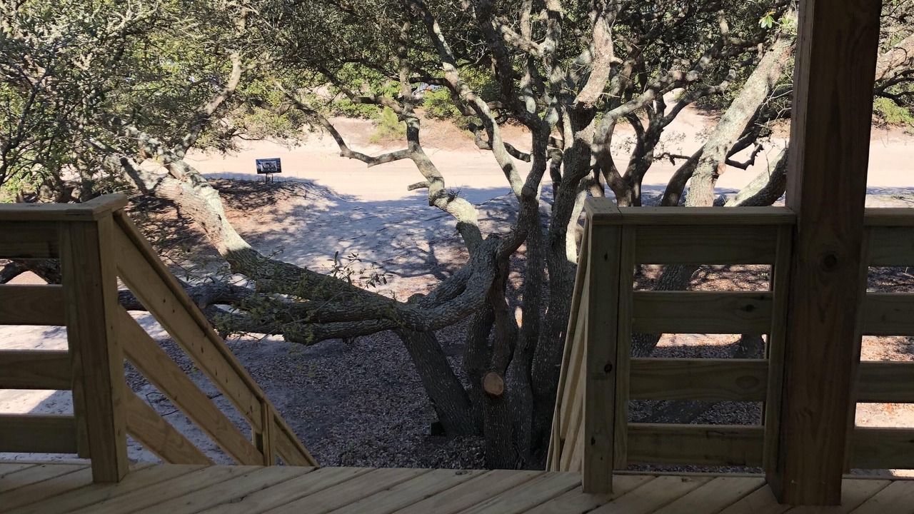 Photo of Outdoor in Carova Beach