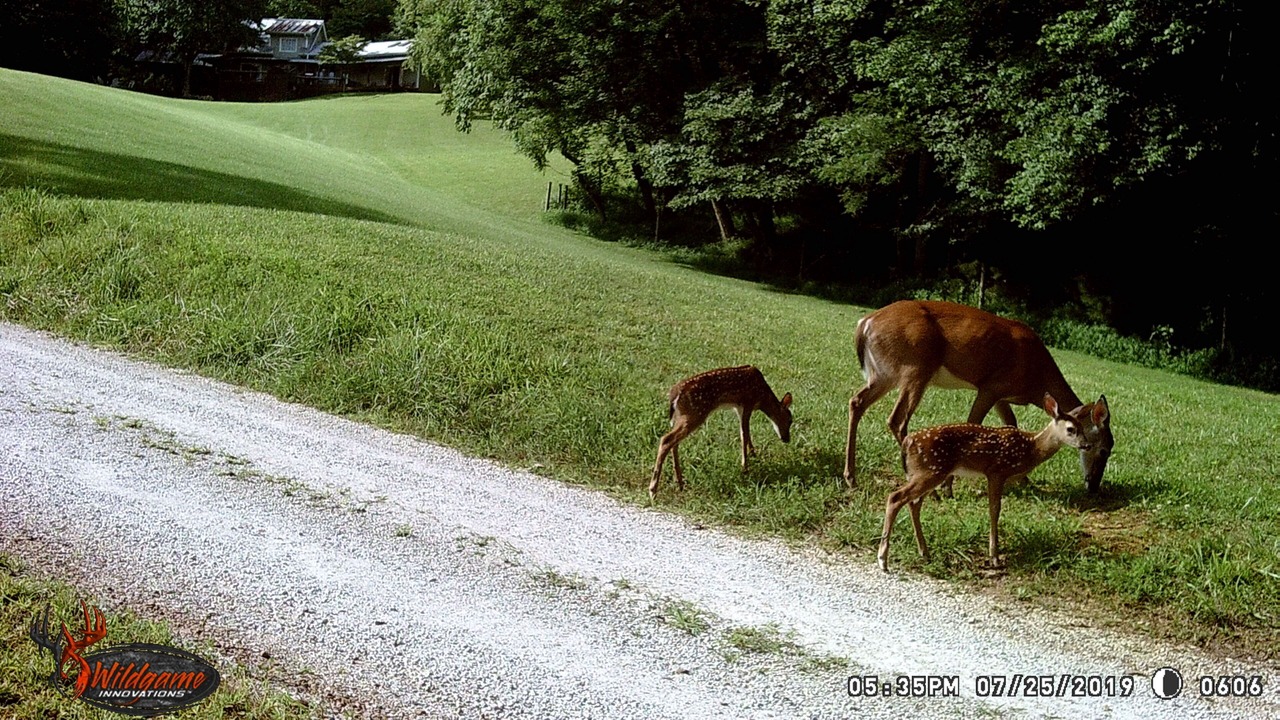 Photo of Outdoor in Franklin