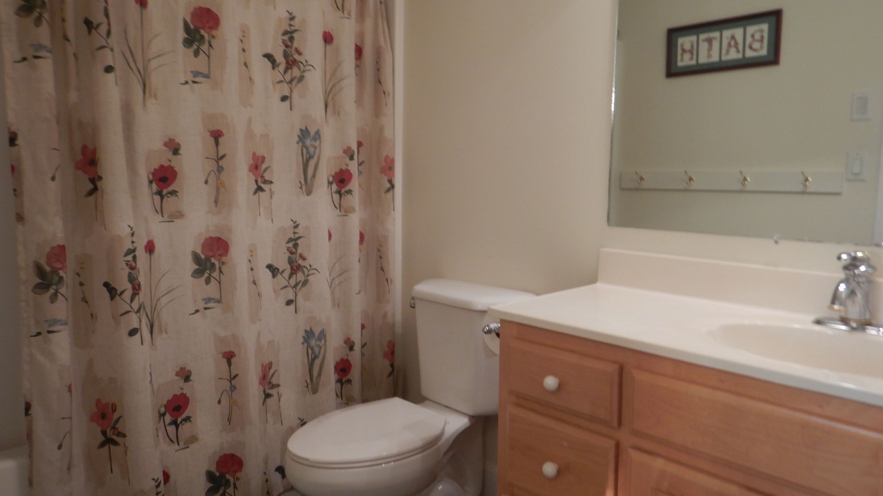 Photo of Bathroom in Spruce Pine