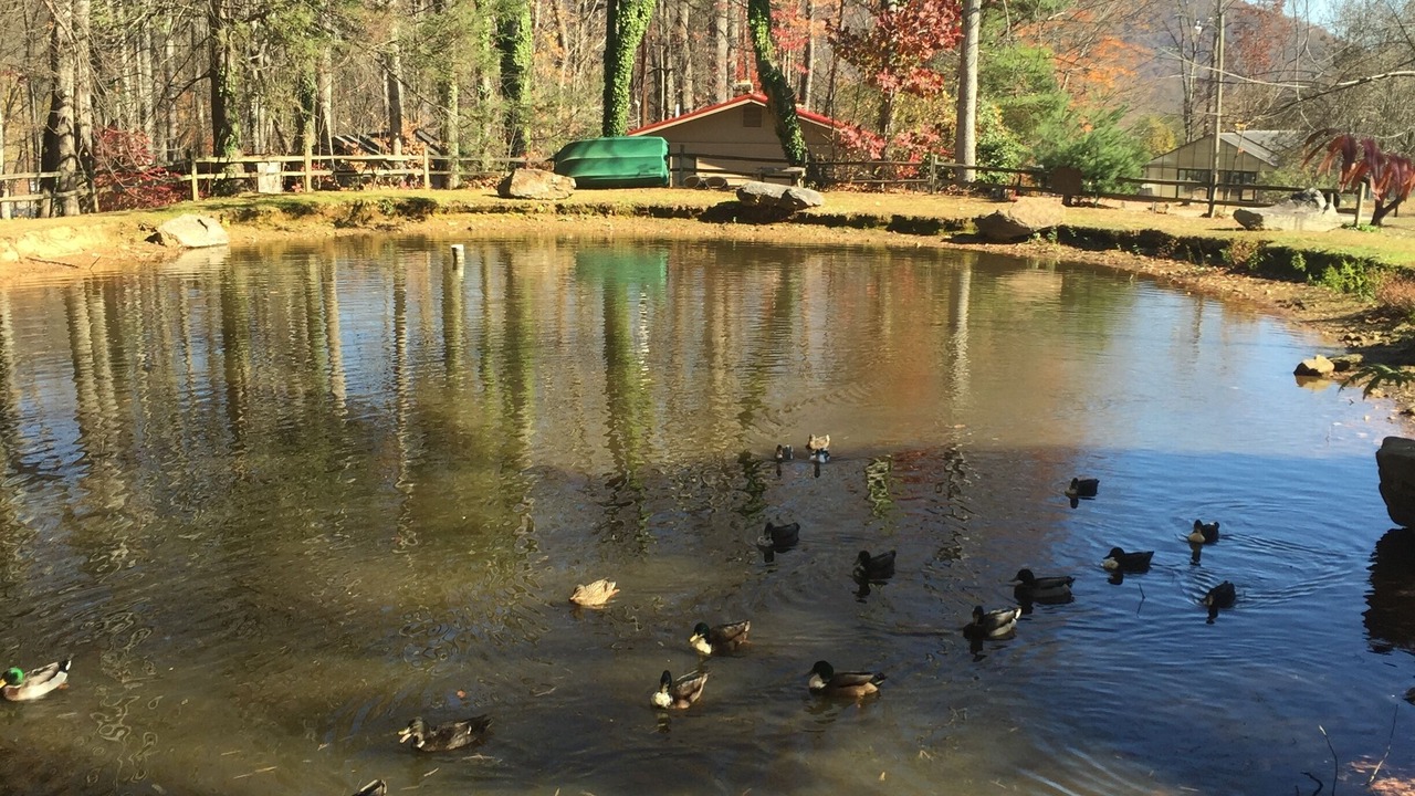 Photo of Outdoor in Maggie Valley