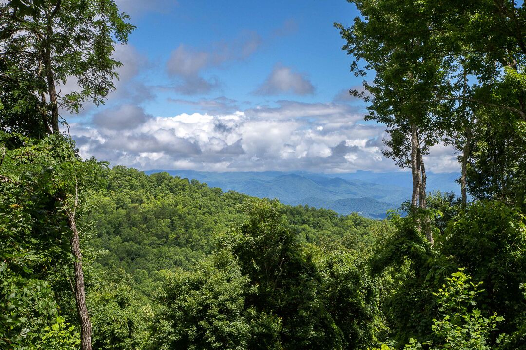 Photo of Others in Sylva